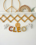 Boho Cactus Name Bunting