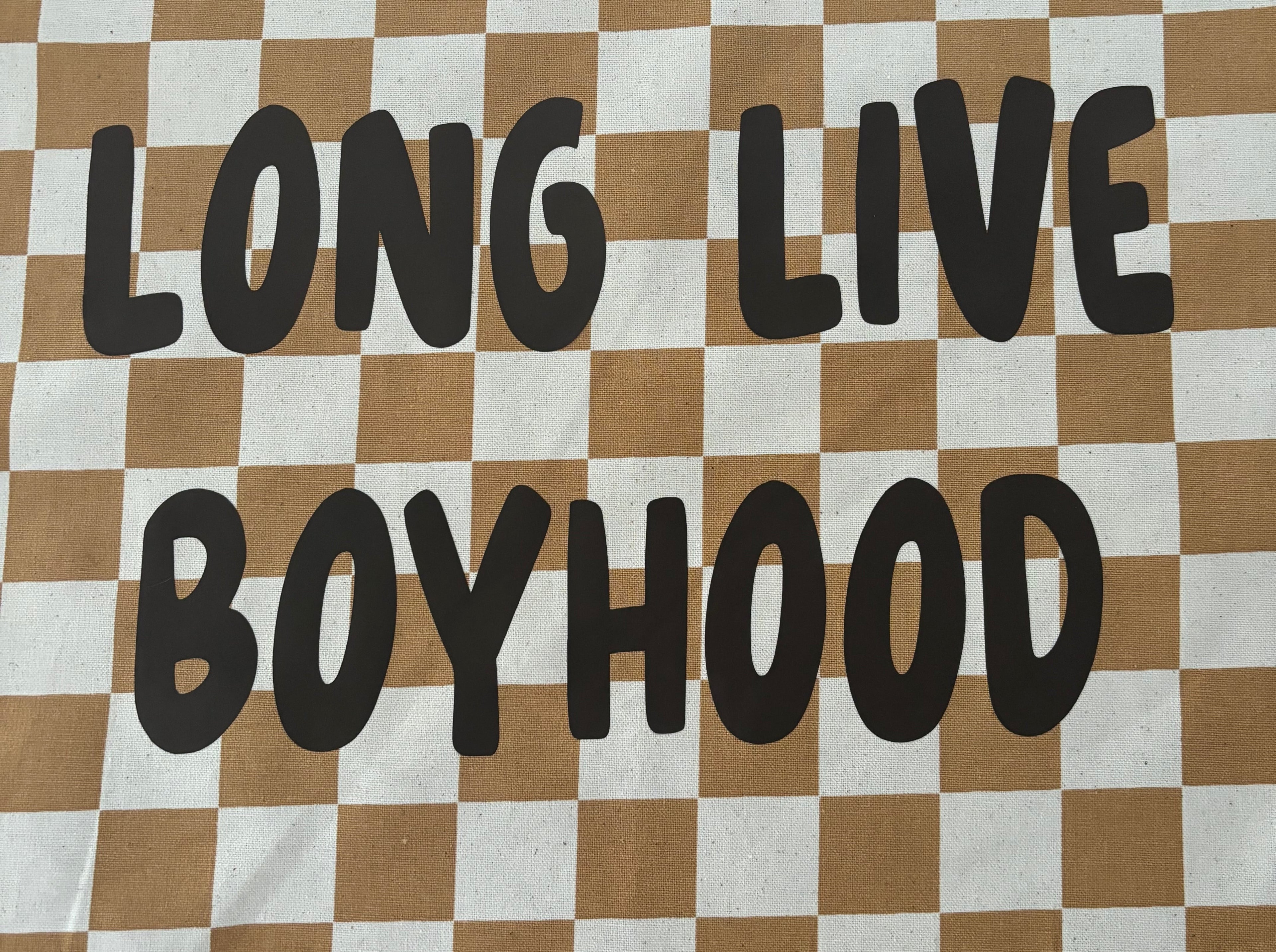 Long Live Boyhood Banner